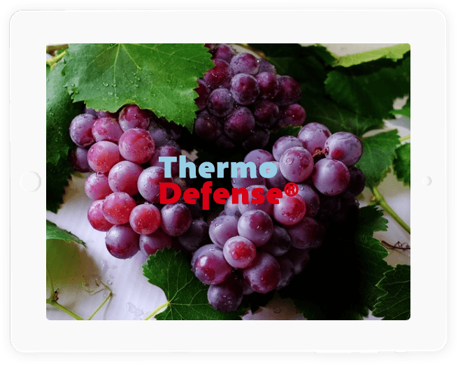 Thermo Defense logo on top of fresh grapes with leaves